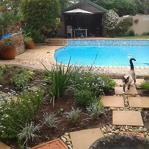Calico Guest house